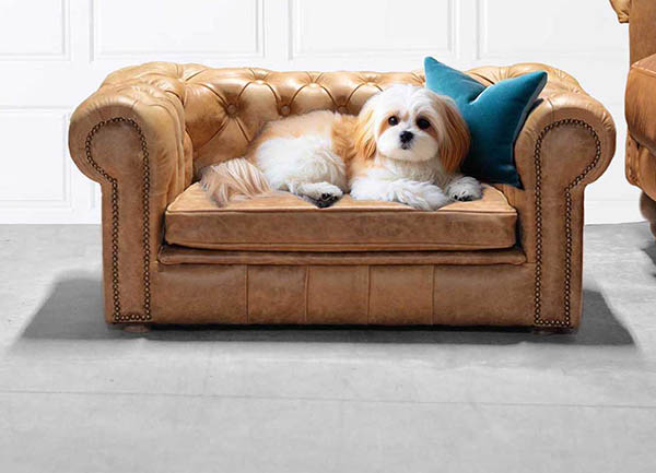 divano per cani, letto per animali, chesterfield lusso in pelle